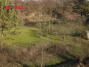 Prodej zahrady, Kolín, 482 m2