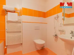 Prodej bytu 1+1, Frymburk, 42 m2