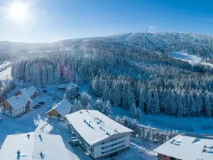 Prodej bytu 1+kk, Loučná pod Klínovcem, 35 m2