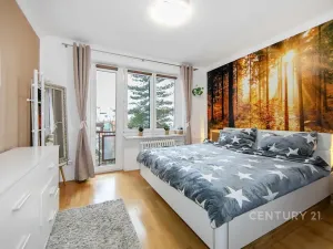 Prodej bytu 3+1, Plzeň, Pod Záhorskem, 63 m2