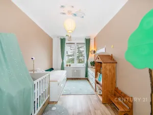 Prodej bytu 3+1, Plzeň, Pod Záhorskem, 63 m2