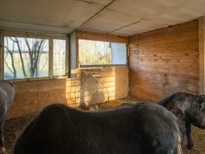 Pronájem - jiné, Markvartovice, 111 m2