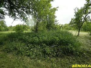 Prodej zahrady, Rousínov, 940 m2