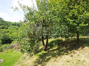 Prodej zahrady, Kralupy nad Vltavou, Lobeč, 346 m2