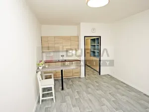 Pronájem bytu 1+kk, Neratovice, 28 m2