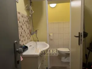 Pronájem obchodního prostoru, Teplice, Masarykova třída, 50 m2