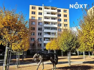 Pronájem bytu 1+kk, Kuřim, Na Loučkách, 29 m2