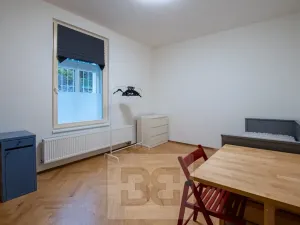 Pronájem bytu 1+1, Praha - Střešovice, Na Petynce, 27 m2
