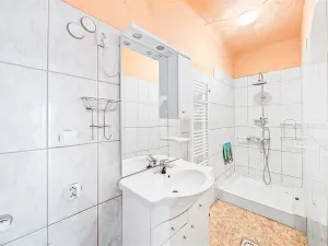 Prodej rodinného domu, Dešenice, 178 m2