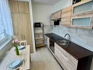 Prodej bytu 2+1, Javorník, Nádražní, 54 m2