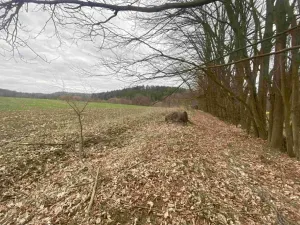Dražba louky, Žinkovy, 4100 m2