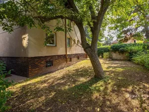 Prodej vícegeneračního domu, Praha - Záběhlice, Střemchová, 348 m2