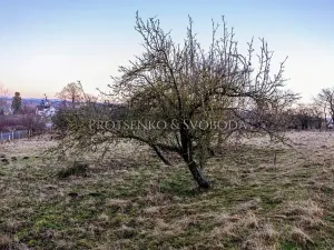 Prodej zahrady, Chotěboř, Hromádky z Jistebnice, 5327 m2