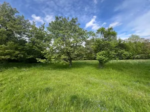 Prodej pozemku, Hřibojedy, 2371 m2