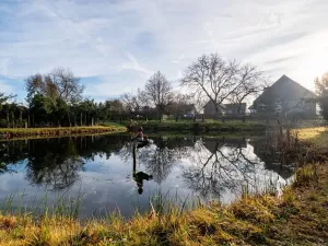 Prodej zahrady, Nové Mitrovice, 1882 m2