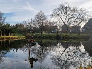 Prodej zahrady, Nové Mitrovice, 1882 m2