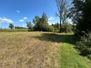 Prodej pozemku pro bydlení, Horní Planá, 3046 m2