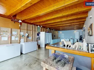 Prodej rodinného domu, Bučovice, Slovenská, 900 m2