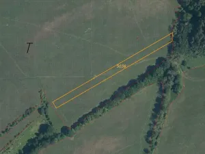 Dražba louky, Slavičín, 16521 m2