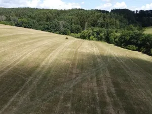 Dražba louky, Slavičín, 16521 m2