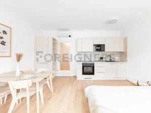 Pronájem bytu 1+kk, Brno, Spolková, 27 m2