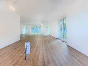 Prodej rodinného domu, Plzeň - Červený Hrádek, Borůvková, 249 m2