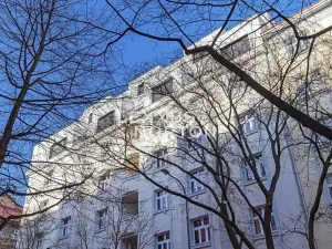 Prodej bytu 2+kk, Praha - Žižkov, Biskupcova, 69 m2