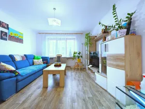 Prodej bytu 2+1, Čelákovice, V Prokopě, 65 m2