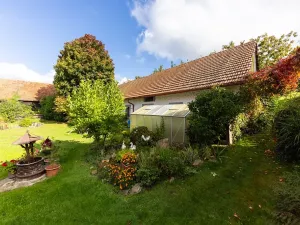 Prodej zemědělské usedlosti, Sklené nad Oslavou, 330 m2