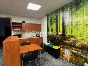 Pronájem obchodního prostoru, Brno, U Leskavy, 92 m2