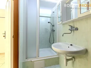 Pronájem bytu 2+kk, Praha - Bubeneč, Eliášova, 55 m2