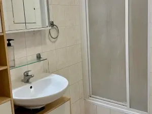 Pronájem bytu 1+kk, Brno, Trýbova, 36 m2