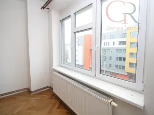 Pronájem bytu 5+1, Plzeň - Jižní Předměstí, U Trati, 130 m2