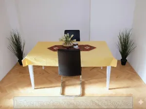 Pronájem pokoje, Praha - Břevnov, Fastrova, 19 m2