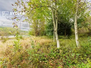 Prodej zahrady, Malé Žernoseky, 1568 m2