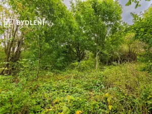 Prodej zahrady, Malé Žernoseky, 1568 m2