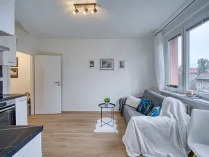 Pronájem bytu 1+1, Chomutov, Arbesova, 36 m2