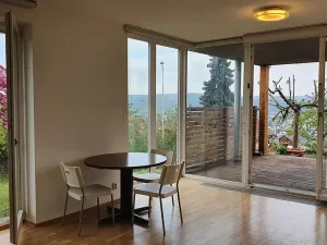 Pronájem bytu 1+kk, Praha - Modřany, Spinozova, 38 m2