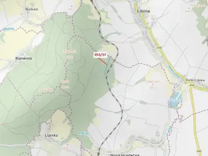 Dražba lesa, Nová Hradečná, 6750 m2