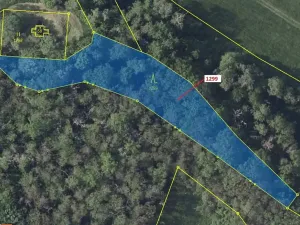 Dražba lesa, Stebno, 2275 m2