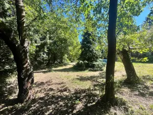 Prodej chalupy, Suchdol, 160 m2