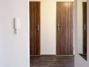 Prodej bytu 2+kk, Ostrava - Dubina, Antonína Poledníka, 48 m2