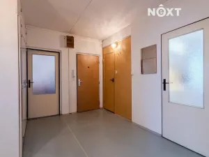 Prodej bytu 4+1, Hrušovany nad Jevišovkou, Mlýnská, 93 m2