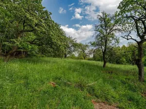 Prodej rodinného domu, Veliny, 157 m2