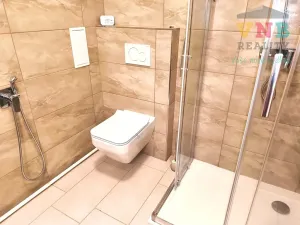 Pronájem bytu 4+kk, Olomouc, Legionářská, 136 m2