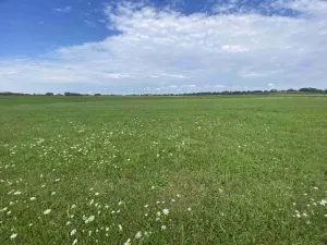Prodej pole, Lomnice nad Lužnicí, 16506 m2