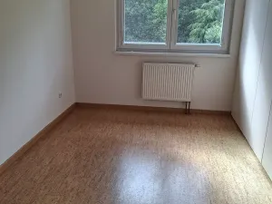 Pronájem rodinného domu, Trnová, 136 m2