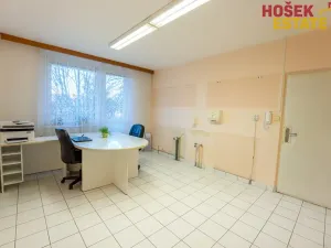 Prodej bytu 4+1, Brno, Kamínky, 89 m2