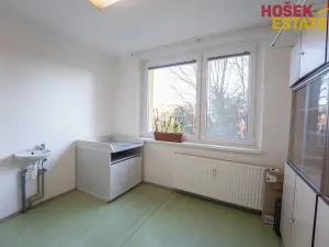 Prodej bytu 4+1, Brno, Kamínky, 89 m2