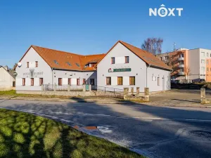 Prodej ubytování, Slavonice, Svatopluka Čecha, 1023 m2